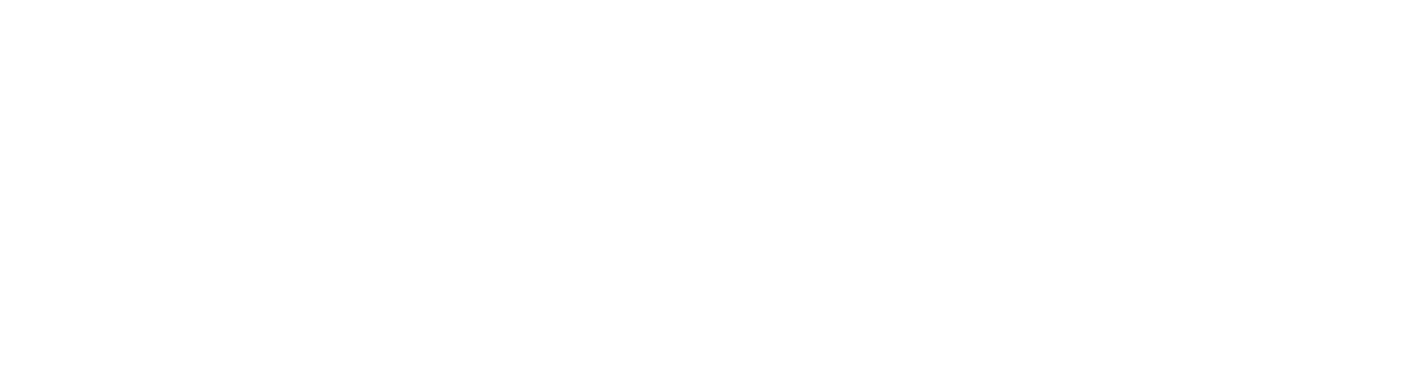 RV Odontologia